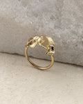 Campania Ring