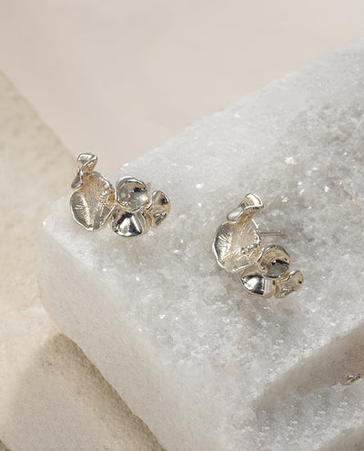 Campania Earrings Silver