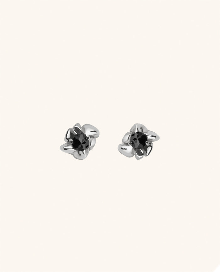 Erica Earrings Silver