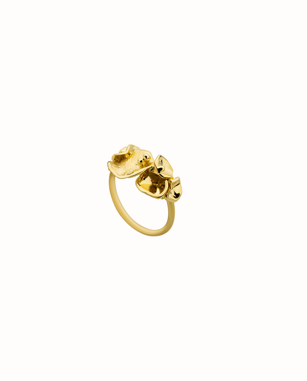 Campania Ring